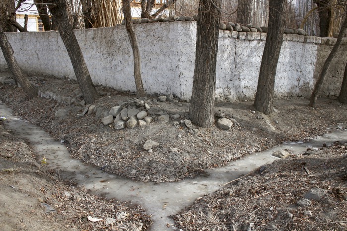 Winterladakh: Grundstücksmauer mit davor Bäumen mit davor gefrorenem Bächlein in Nyerma